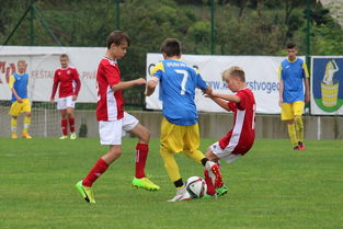 九游APP官网-塞尔维亚实力不断提升，期待在国际大赛中突破